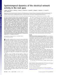 Single-unit recording / Root / Multielectrode array / Action potential / Astrocyte / Coincidence detection in neurobiology / Vascular plant / Neural oscillation / Membrane potential / Biology / Neurophysiology / Electrophysiology