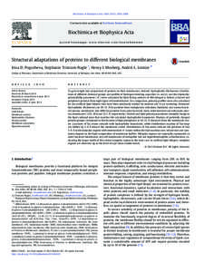 Biochimica et Biophysica Acta[removed]–2608  Contents lists available at SciVerse ScienceDirect Biochimica et Biophysica Acta journal homepage: www.elsevier.com/locate/bbamem