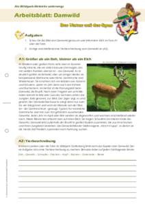 Als Wildpark-Detektiv unterwegs  Arbeitsblatt: Damwild Aufgaben 1. Schau Dir das Bild vom Damwild genau an und informiere Dich im Text A1