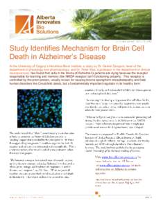 ·  Study Identifies Mechanism for Brain Cell Death in Alzheimer’s Disease At the University of Calgary’s Hotchkiss Brain Institute, a study by Dr. Gerald Zamponi, head of the department of physiology and pharmacolog