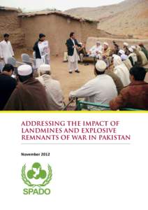 ADDRESSING THE IMPACT OF LANDMINES AND EXPLOSIVE REMNANTS OF WAR IN PAKISTAN November 2012  Contents