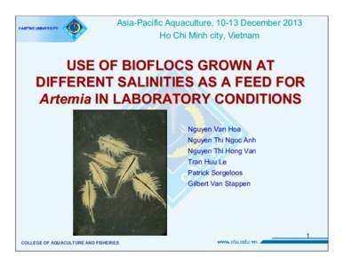 Zoology / Branchiopoda / Brine shrimp / Aquaculture