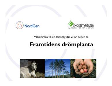 Arni Bragason  Det nordiska samarbetet • Norden består av 5 självständiga länder (Norge, Sverige, Danmark, Finland och Island) och 3 självständiga regioner (Färöarna, Åland och