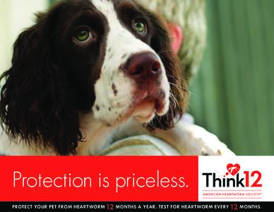 Protection is priceless. PROTECT YOUR PET FROM HEARTWORM 12 MONTHS A YEAR. TEST FOR HEARTWORM EVE RY 12 MONTHS.  