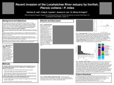 Red lionfish / Estuary / Fish / Scorpaenidae / Pterois