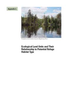 Ian Drew/USFWS  Appendix L Floodplain forest habitat along the Magalloway River