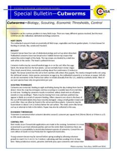 NAT I O NAL S UNF L O WE R A S S O CI AT I O N O F CANAD A  Special Bulletin—Cutworms Cutworms—Biology, Scouting, Economic Thresholds, Control  Cutworms can be a serious problem in many field crops. There are many di