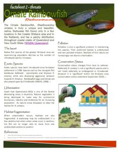 Melanotaeniidae / Rainbowfish / Xiphophorus / Eastern mosquitofish / Swordtail / Green swordtail / Fish / Gambusia / Freshwater fish of Australia