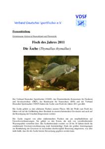 Pressemitteilung Gemeinsame Aktion in Deutschland und Österreich: Fisch des Jahres 2011 Die Äsche (Thymallus thymallus)