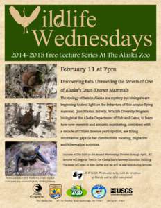 [removed]Free Lecture Series At The Alaska Zoo February 11 at 7pm Discovering Bats: Unraveling the Secrets of One of Alaska’s Least-Known Mammals The ecology of bats in Alaska is a mystery but biologists are beginning