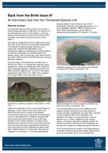 Back from the Brink Issue #7 An information flyer from the Threatened Species Unit Melomys musings You’d be excused for thinking that an animal with a known global population of less than 50, clinging to a far-flung sp