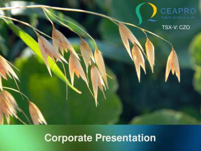 TSX-V: CZO  Corporate Presentation 1  Forward Looking Statements