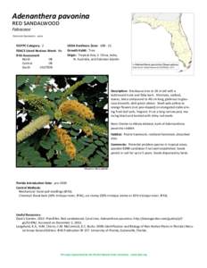 Flora / Chemistry / Adenanthera / Albizia lebbeck / Triclopyr / Hammock / Botany / Medicinal plants / Adenanthera pavonina / Flora of Sri Lanka