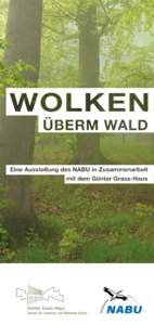 Wolken überm Wald  Veranstaltungen Im Internationalen Jahr der Wälder rücken der NABU