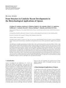 From Structure to Catalysis: Recent Developments in the Biotechnological Applications of Lipases