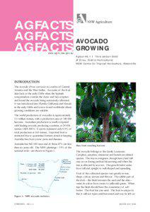 AGFACTS AGFACTS AVOCADO AGFACTS GROWING