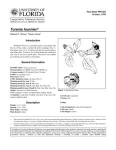 Invasive plant species / Agriculture / Torenia / Ziziphus mauritiana / Leaf / Horticulture / Biology / Botany / Torenia fournieri