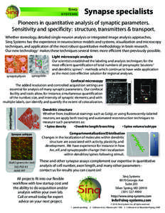 Synapse specialists Pioneers in quantitative analysis of synaptic parameters. Sensitivity and specificity: structure, transmitters & transport. Whether stereology, detailed single-neuron analysis or integrated image anal
