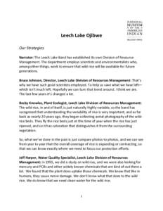 Ojibwe people / Leech Lake Indian Reservation / Rice / Leech Lake Band of Ojibwe / Wild rice / Ojibwe language / Leech Lake / Leech / First Nations / Ojibwe / Minnesota