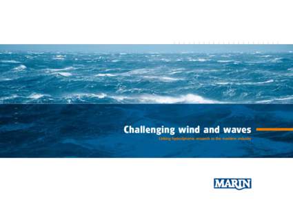 Challenging wind and waves Linking hydrodynamic research to the maritime industry 2  Meeting the Industry’s Needs