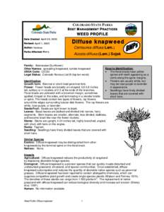 COLORADO STATE PARKS  BEST MANAGEMENT PRACTICES WEED PROFILE Date Created: April 25, 2003