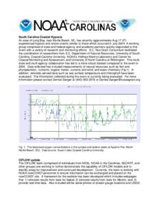 South Carolina Coastal Hypoxia An area of Long Bay, near Myrtle Beach, SC, has recently (approximately Aug[removed]experienced hypoxic and anoxic events similar to those which occurred in July[removed]A working group compri