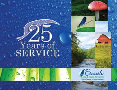 3  Vision Etowah Water & Sewer Authority’s vision is to improve customer service, provide reliable and dependable water and wastewater services and support the infrastructure needs required for economic development