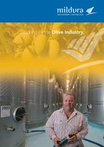 Working in the Olive Industry  By choosing a career in the Olive Industry you are opening the door to a whole range of opportunities  