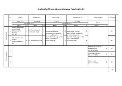 Studienplan für den Maserstudiengang 