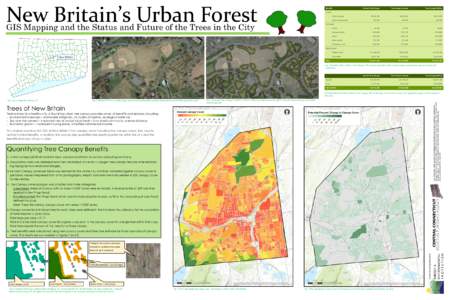 New Britain’s Urban Forest  Benefits Current Tree Canopy