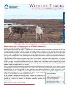 W ildlife T racks News from Nunavut’s Wildlife Management Team  Wildlife Tracks