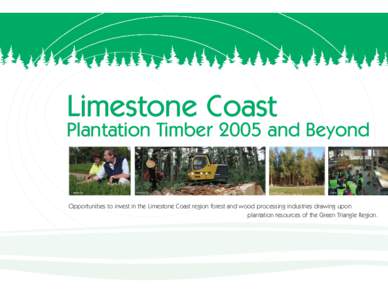 Limestone Coast Plantation Timber 2005 and Beyond ForestrySA  ForestrySA