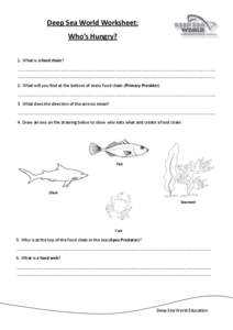 Deep Sea World Worksheet: Who’s Hungry? 1. What is a food chain? ………………………………………………………………………………………………………………………………………