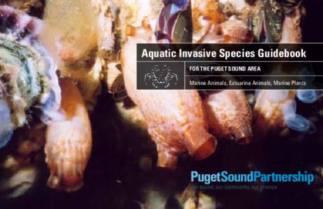 Aquatic Invasive Species Guidebook For the puget sound area Marine Animals, Estuarine Animals, Marine Plants Aquatic Invasive Species Guidebook Introduction