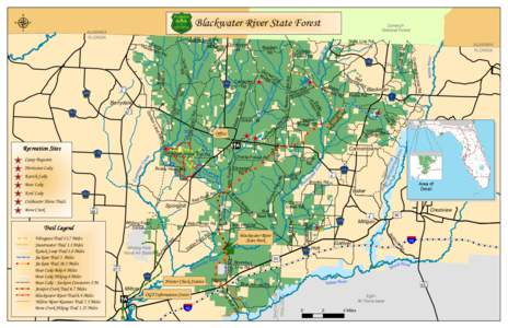 Blackwater River State Forest  ! !