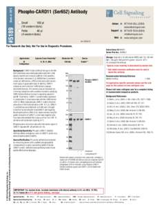 Store at -20°C  Phospho-CARD11 (Ser652) Antibody #5189