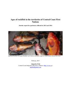 Sebastidae / Fish / Sebastes / Quillback rockfish / Yelloweye rockfish / Black rockfish / China rockfish / Yelloweye / Copper rockfish