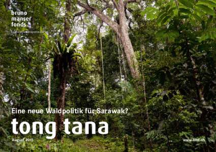 bruno manser fonds fairness im tropenwald  Eine neue Waldpolitik für Sarawak?
