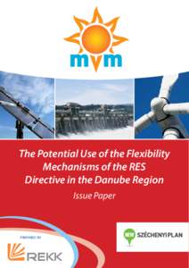 The Potential Use of the Flexibility Mechanisms of the RES Directive in the Danube Region Issue Paper  prepared by