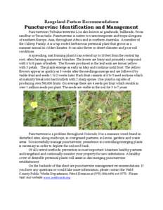 Rangeland-Pasture Recommendations