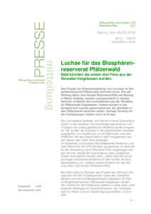 Mainz, den – Luchse für das Biosphärenreserverat Pfälzerwald Bald könnten die ersten drei Tiere aus der