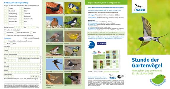 Vögel beobachten, melden – und gewinnen!  Meldebogen Gartenvogelzählung 