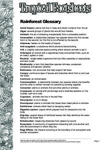 Rainforest Glossary Aerial feeders: plants that live in trees and obtain nutrients from the air. Algae: several groups of plants that are all food makers. Ambush: the act of attacking unexpectedly from a concealed positi