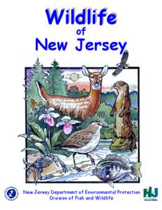 Wildlife of New Jersey  New Jersey Department of Environmental Protection