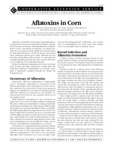ID-59  C O O P E RATIVE EXTENSION SERVICE UNIVERSITY OF KENTUCKY • COLLEGE OF AGRICULTURE  Aflatoxins in Corn