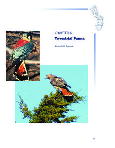 CHAPTER 6. Terrestrial Fauna of the NBNERR  CHAPTER 6. Terrestrial Fauna Kenneth B. Raposa