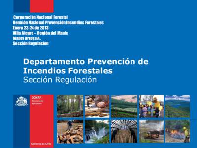 Corporación Nacional Forestal Reunión Nacional Prevención Incendios Forestales Enero[removed]de 2013 Villa Alegre – Región del Maule Mabel Ortega A. Sección Regulación