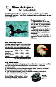 Wisconsin Anglers: Get the Lead Out! Lead fishing tackle kills loons, eagles, swans, turtles, and other aquatic wildlife dependent on Wisconsin’s lakes, rivers, and streams each year. All it takes is one lead sinker to