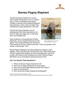 Borneo Pygmy Elephant The Borneo Pygmy Elephant is a small Asian elephant that grows up to 2.5 meters long. It lives in subtropical and tropical climates in Borneo and sometimes Malaysia and Indonesia. Today, there are f