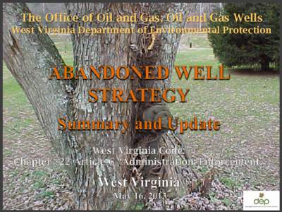 The Office of Oil and Gas; Oil and Gas Wells West Virginia Department of Environmental Protection Presentation Coverage • Abandoned Well Strategy • Bona Fide Future Use Request